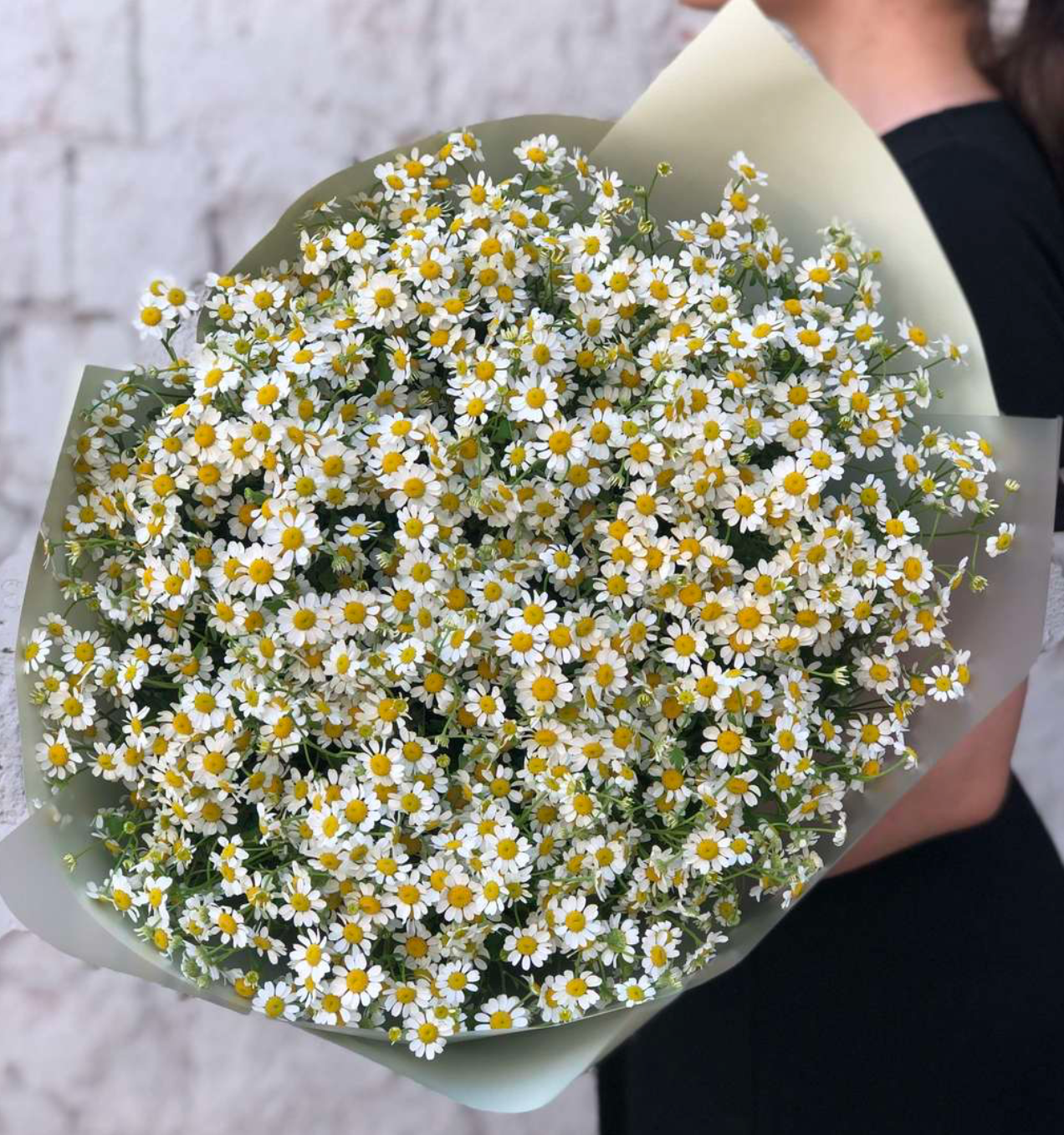 Blumenstrauß mit 15 Gänseblümchen