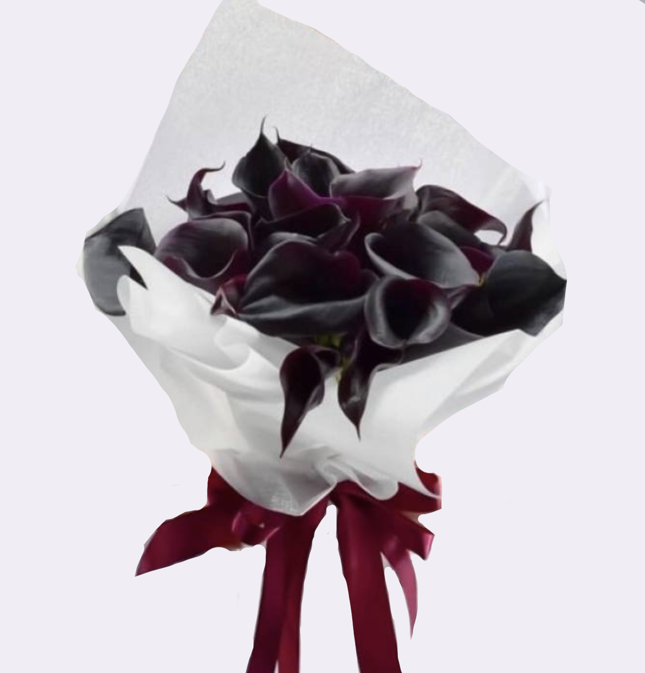 Mystische Eleganz / 21 dunkle Calla-Lilien