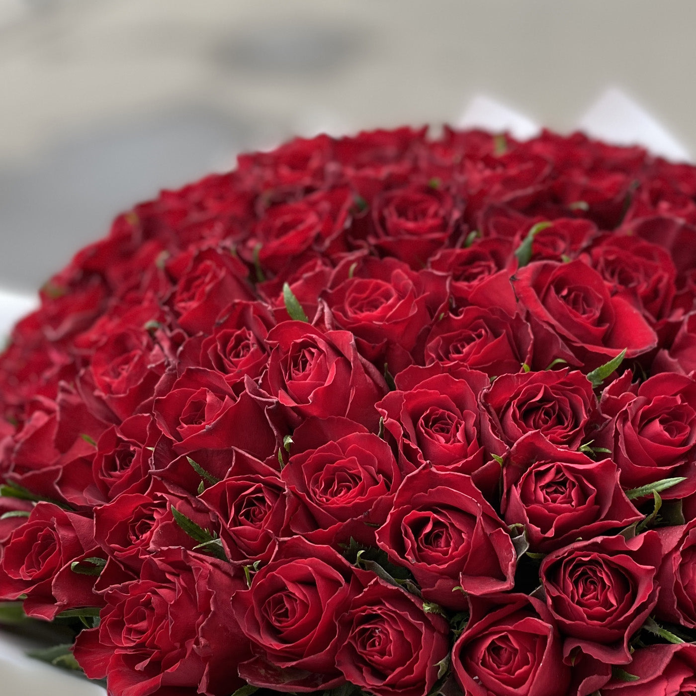 Ein Bouquet aus 101 roten Rosen