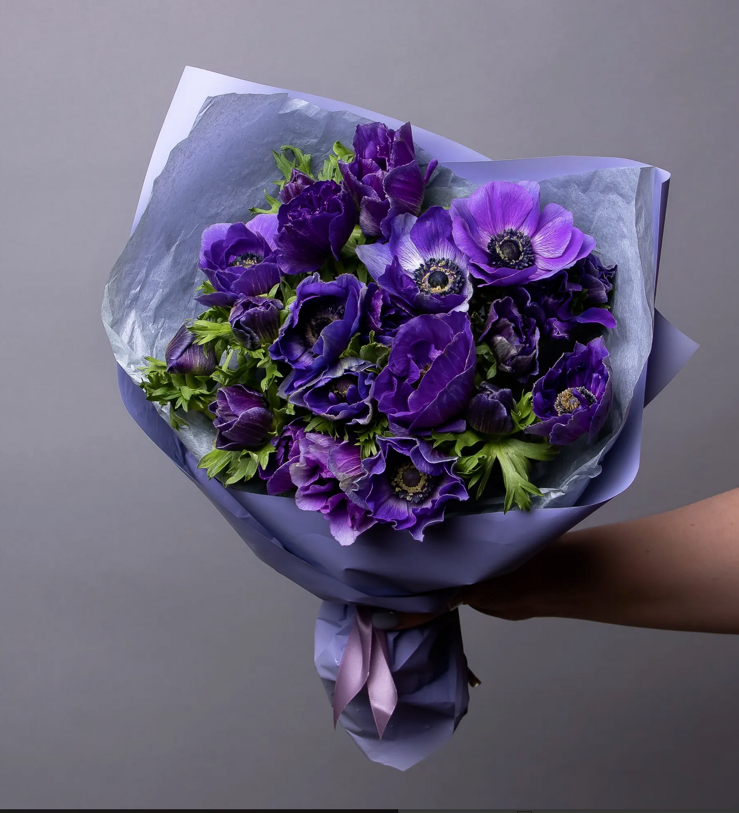 Violette Träume