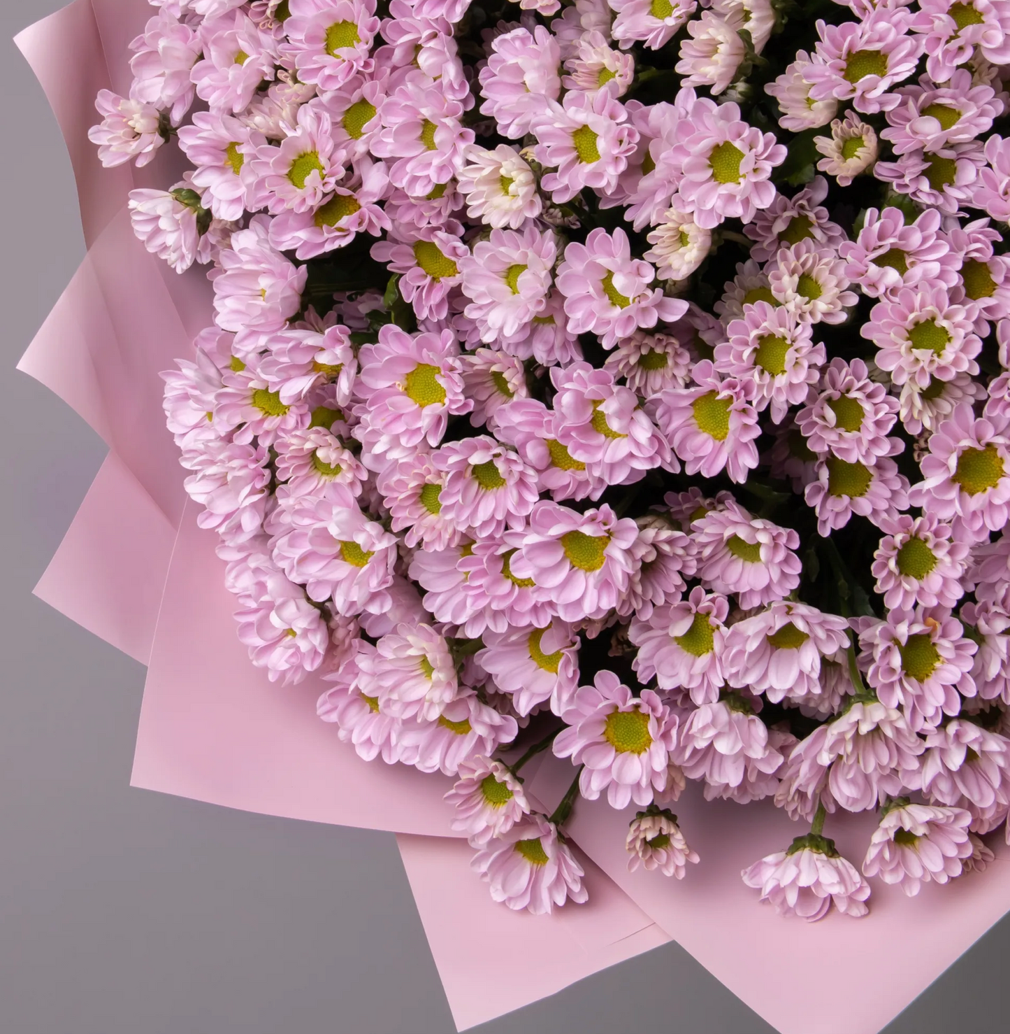 Ein Strauß mit rosa Chrysanthemen