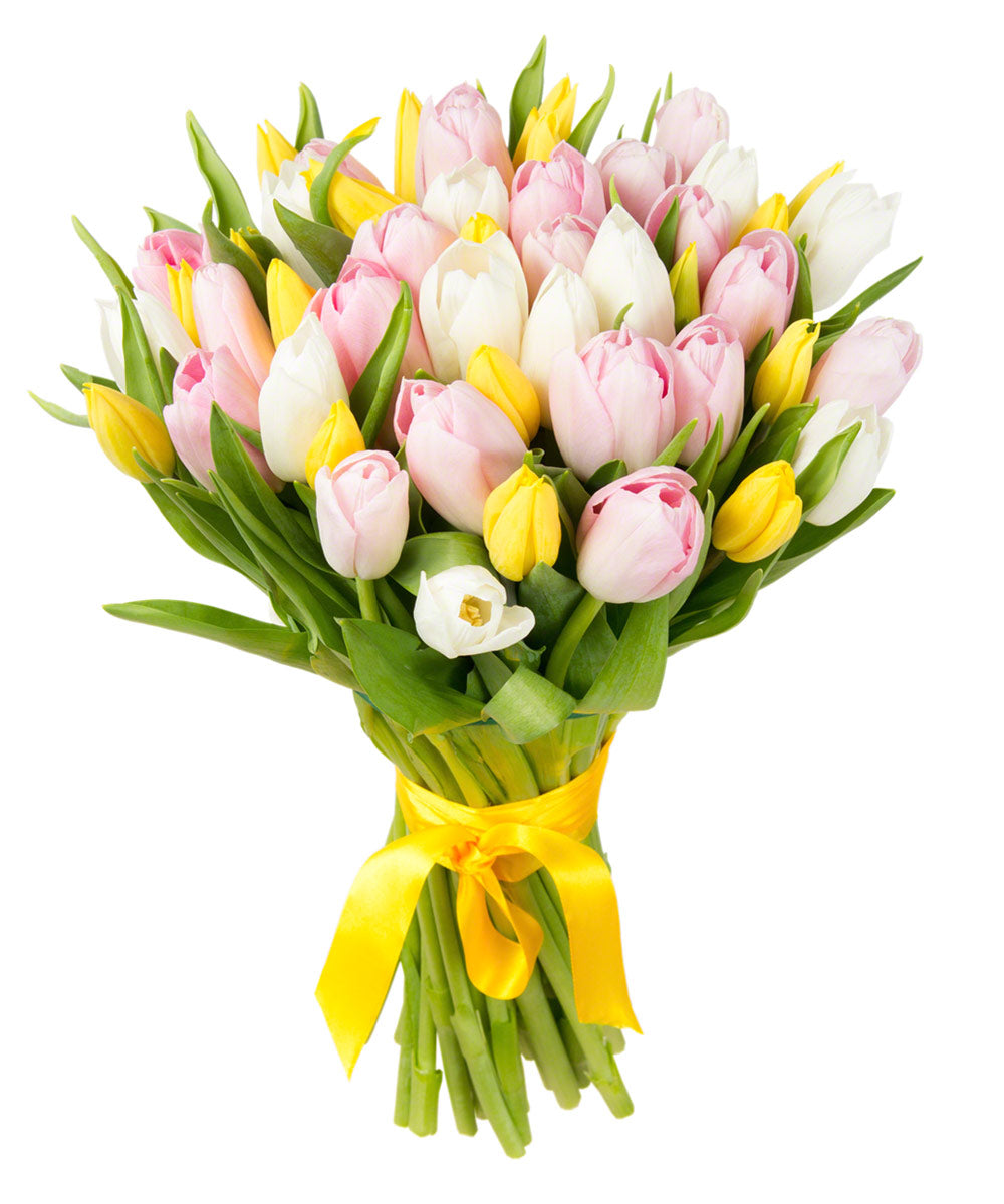 Strauß aus 51 Tulpenmischung