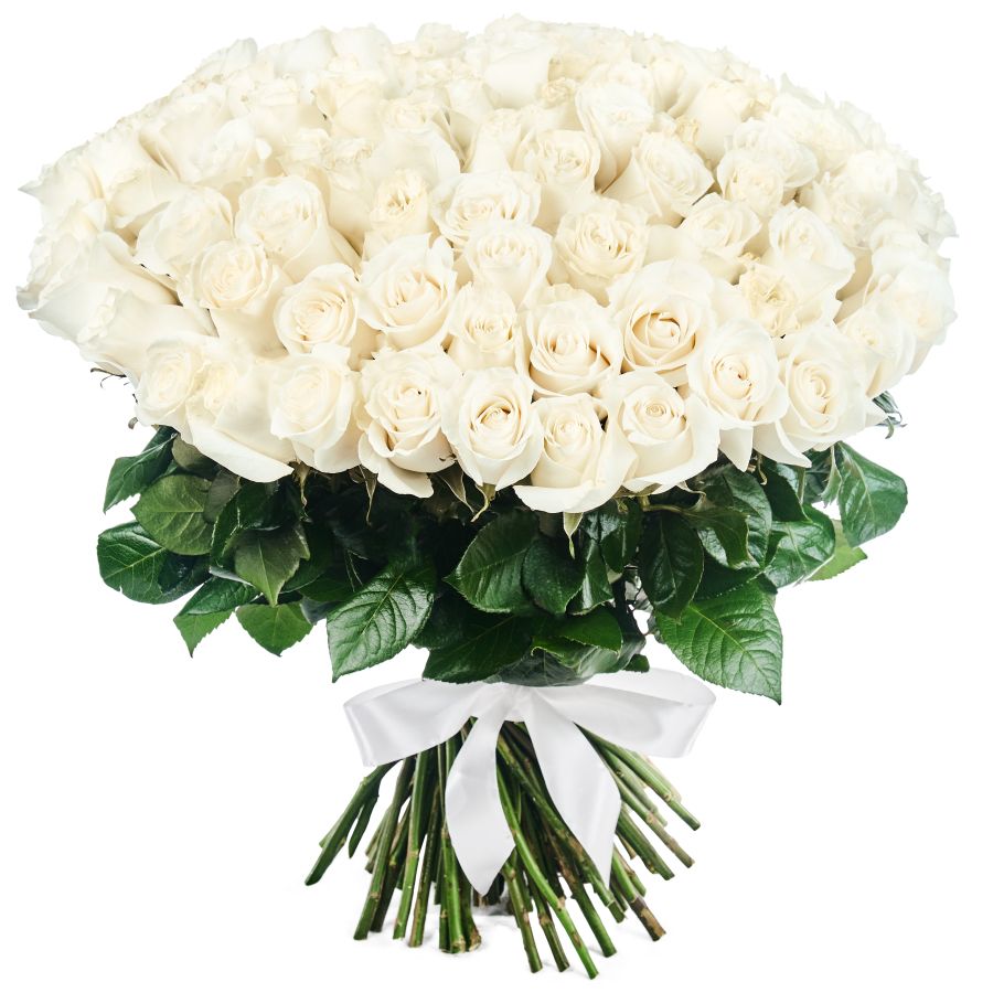 Ein Bouquet aus 51 weissen Rosen