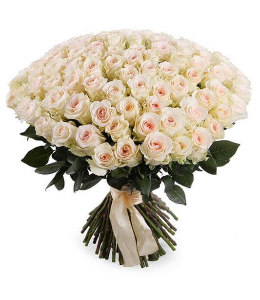 Señoritas Leidenschaft / 101 Rosen/