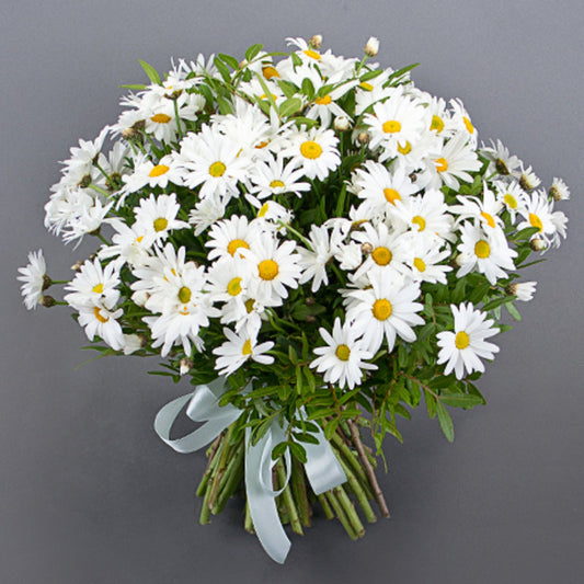Strauß aus Gänseblümchen und Pistazie