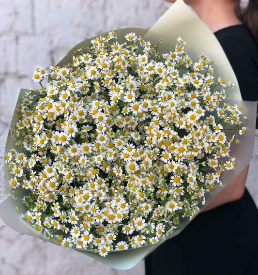 Blumenstrauß mit 15 Gänseblümchen