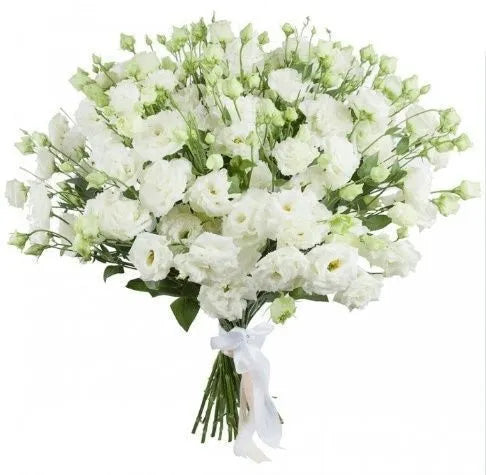 Bouquet aus 25 weißen Lisianthus (Eustoma)