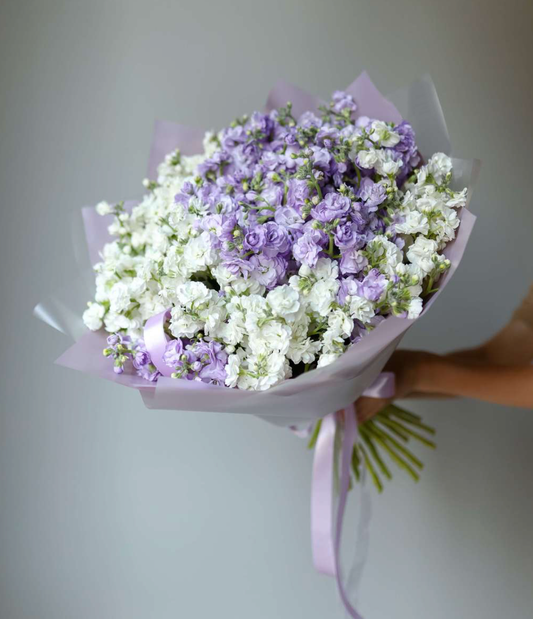 Strauß aus 29 weißen und fliederfarbenen Matthiola