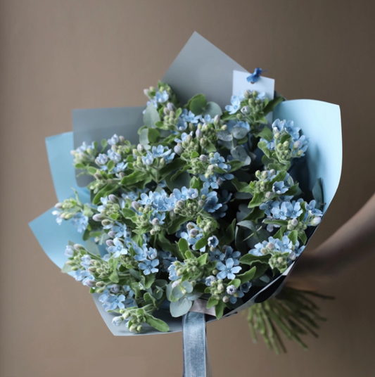 💙 Himmelshauch – Strauß aus 25 Oxypetalum-Blüten & Grün