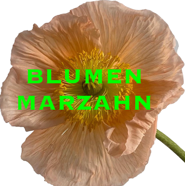 Blumen MARZAHN