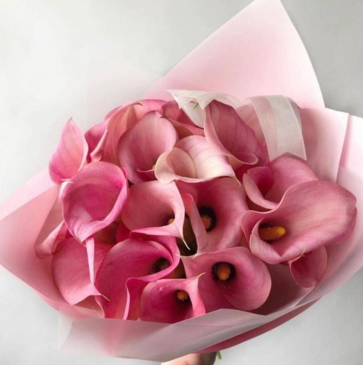 „Zärtlichkeit“ – Strauß aus 19 zartrosa Calla-Lilien