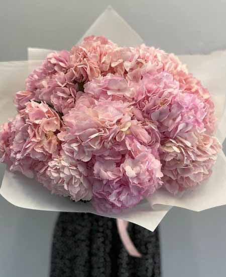 Ein Blumenstrauß aus 11 rosa Hortensien