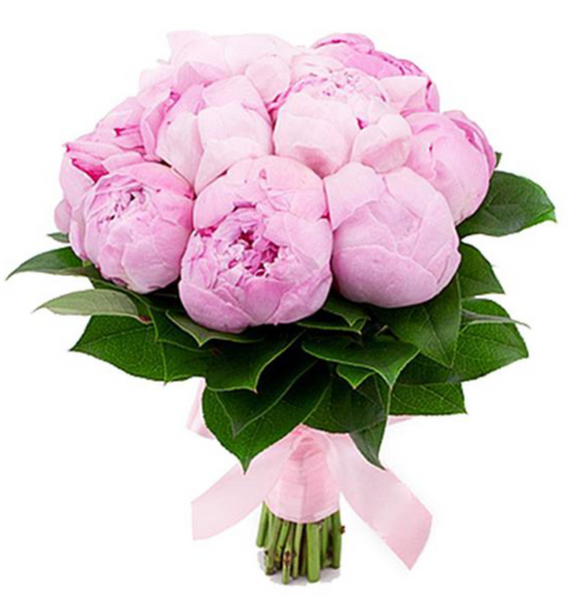 Ein Strauß aus 9 rosa Pfingstrosen