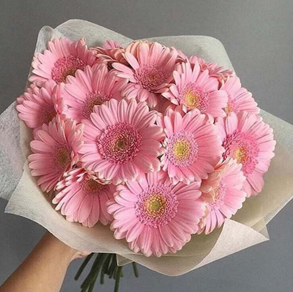 Ein Strauß aus 15 rosa Gerbera.