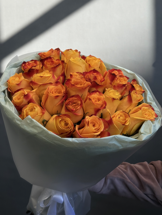 🌞 Sonnenfeuer – 25 Silantoi-Rosen