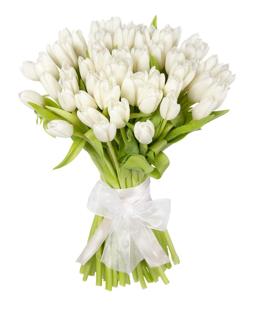 Strauß aus 51 weißen Tulpen