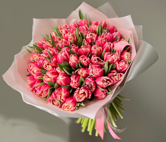 Pfingstrosen-Tulpen in Korallrosa | 49 St. |