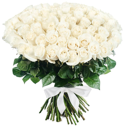 Ein Bouquet aus 51 weissen Rosen